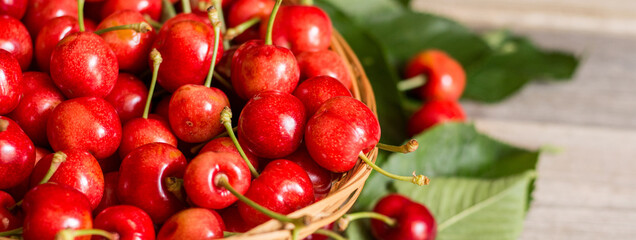 Fresh cherries with leaves in a wooden basket.