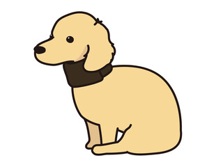 頸椎椎間板ヘルニア　首にコルセットをする犬