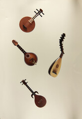 String instruments - rebab, theorbo, yueqin and mandoline isolated against light background