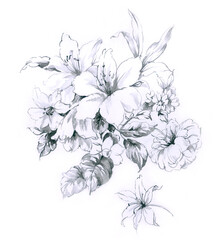 Flowers watercolor illustration.Manual composition.Big Set watercolor elements，Design for textile, wallpapers，Element for design,Greeting card