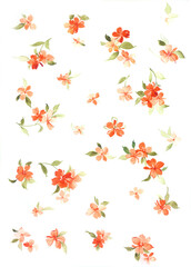 Flowers watercolor illustration.Manual composition.Big Set watercolor elements，Design for textile, wallpapers，Element for design,Greeting card