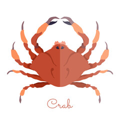 Single Crab in flat style isolated on white