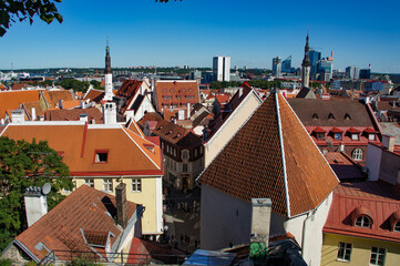 Roofs of the Old Town of Tallinn