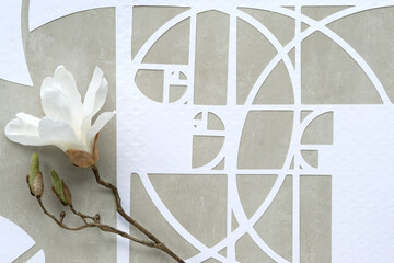 White magnolia flower, Fibonacci sequence circles on beton stone background. Order, perfection in Nature. Golden ratio concept. Top view, geometric paper art. Desaturated, earth colored white, beige