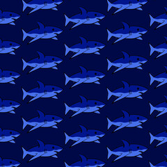 patr&oacute;n de tiburones