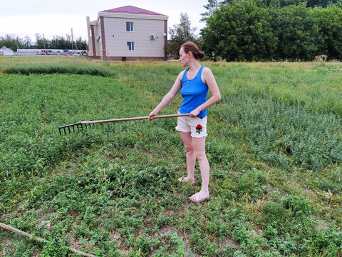 Woman raking moved grass with rake in countryside