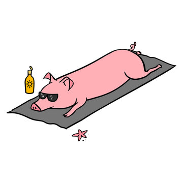pig laying at the beach hand drawn.