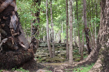 angkor wat temple cambodia phnom penh siem reap