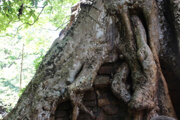 angkor wat temple cambodia phnom penh siem reap