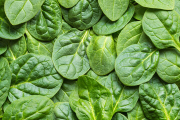 Obraz premium Top view on fresh spinach leaves. Healthy vegan food background