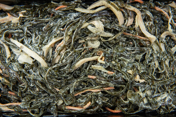 Chuka wakame laminaria seaweed salad with calamary