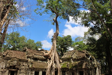 angkor wat temple cambodia phnom penh siem reap - obrazy, fototapety, plakaty