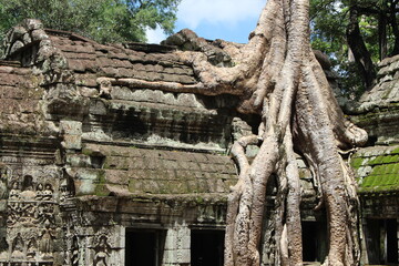 angkor wat temple cambodia phnom penh siem reap