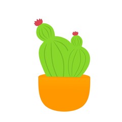 Best cactus design illustration, on white background
