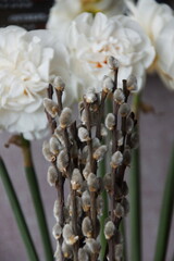 Willow branches on a background of daffodils