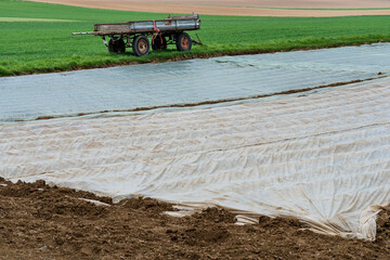 Obraz premium Kartoffelacker mit weißer Folie und Anhänger