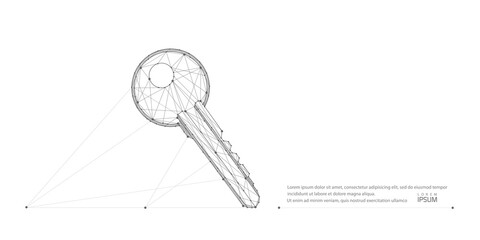 Key on white background .Data storage and protection.Polygonal wireframe key with dots, lines.vector illustration.