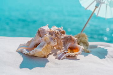 Fototapeta na wymiar Sea shells and sun umbrella on a white sand and blue water background, space for text. Summer beach. Seashell on the sand.
