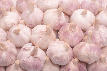 Group of garlic isolated on a white background.