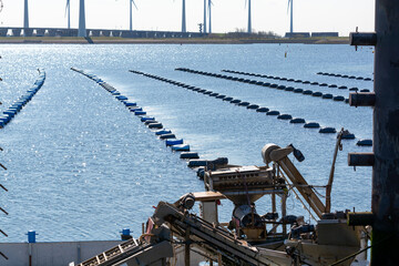 Fototapeta premium Netherlands, Bruinisse, Mussel, mussels farming in Oosterschelde estuary. Background Grevelingen Dam, part of Delta works and windmills