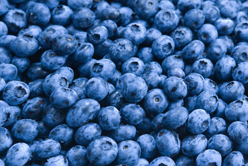 Fresh blueberry background. Texture blueberry berries close up.