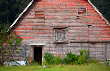 Fototapeta na wymiar Open Door to Red Wooden Barn