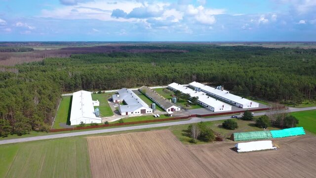 Aerial drone 4k video of large chicken farm in Wegrow County, Masovian Voivodeship of Poland