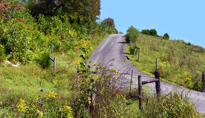 Fototapeta premium Narrow Country Road Curves and Disappears Over Hill