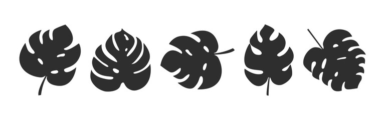 Palm leaf vector icon, monstera leaves set, black silhouettes, summer plants isolated on white background. Tropic illustration