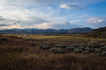 landscape in the morning