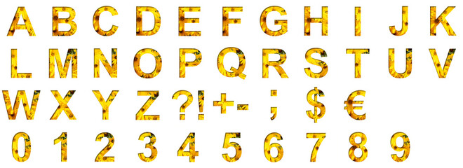 Autumn flowers alphabet letters ABCDEFGHIJKLMNOPQRSTUVWXYZ and digits 1234567890 set cut from paper...