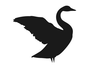 Silhouette of a swan opening its wings (part 3)