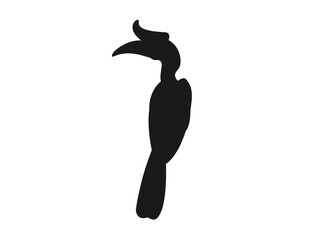 Silhouette of a hornbill perched and looking to the left