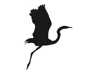 The silhouette of a Stork loves to fly low and is about to land on the ground