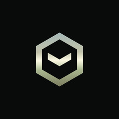 Hexagon Shape Logo with Letter M
