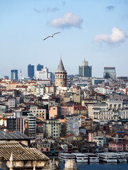 Obraz premium view