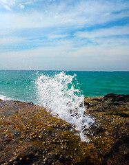 Scenic seascape of waves breaking over rocks with foams and gushing through rock holes on a beach in a spectacular reef with moss and aquatic life under a sunny blue sky -  Tourists attraction in SL.