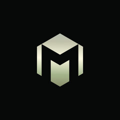 Hexagon Shape Logo with Letter M