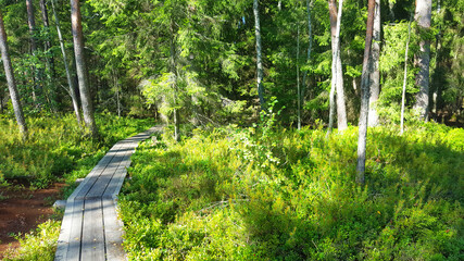 Naklejka na ściany i meble estonia landscape nature trail national park