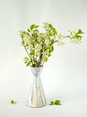 Bouquet of white flowers  in ceramic vase on white background. Apple tree flowers in full bloom. Branches of cherry blossom. Minimalist floral concept. White nature aesthetic. Pastel color ceramic