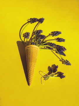 Purple hyacinth or muscari flowers in ice cone and  bunch with loop on yellow background. Flowers layout or template with copy space for text, top view. Minimalism floral aesthetic. Spring concept