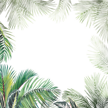 Tropical palm leaves frame. Watercolor and graphic illustration.