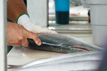 Fresh salmon fish filleting with sharp knife by professional butcher, Alaska