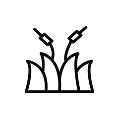 reeds line icon vector illustration