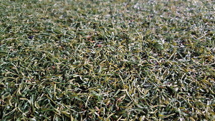 green artificial grass synthetic plastics turf