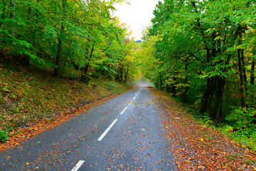 Paysage des Cevennes en France en Automne