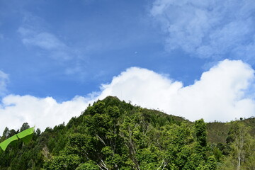 natural home landscape