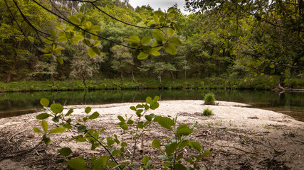 Fototapeta na wymiar River beach in the middle of the forest