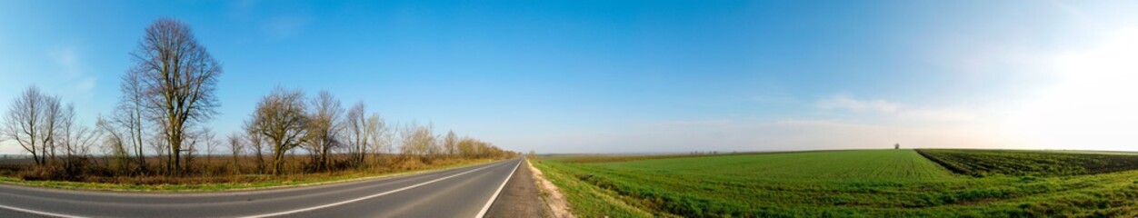 Fototapeta na wymiar green winter wheat fields and spring sunny day highway with cloudless sky
