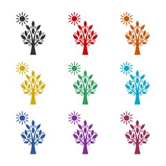 Sun and tree icon isolated on white background color set